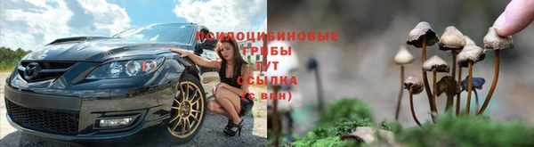 apvp Волоколамск
