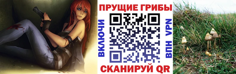 Псилоцибиновые грибы мухоморы Александровское