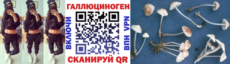 мега онион  Александровское  Галлюциногенные грибы Psilocybine cubensis  наркошоп 